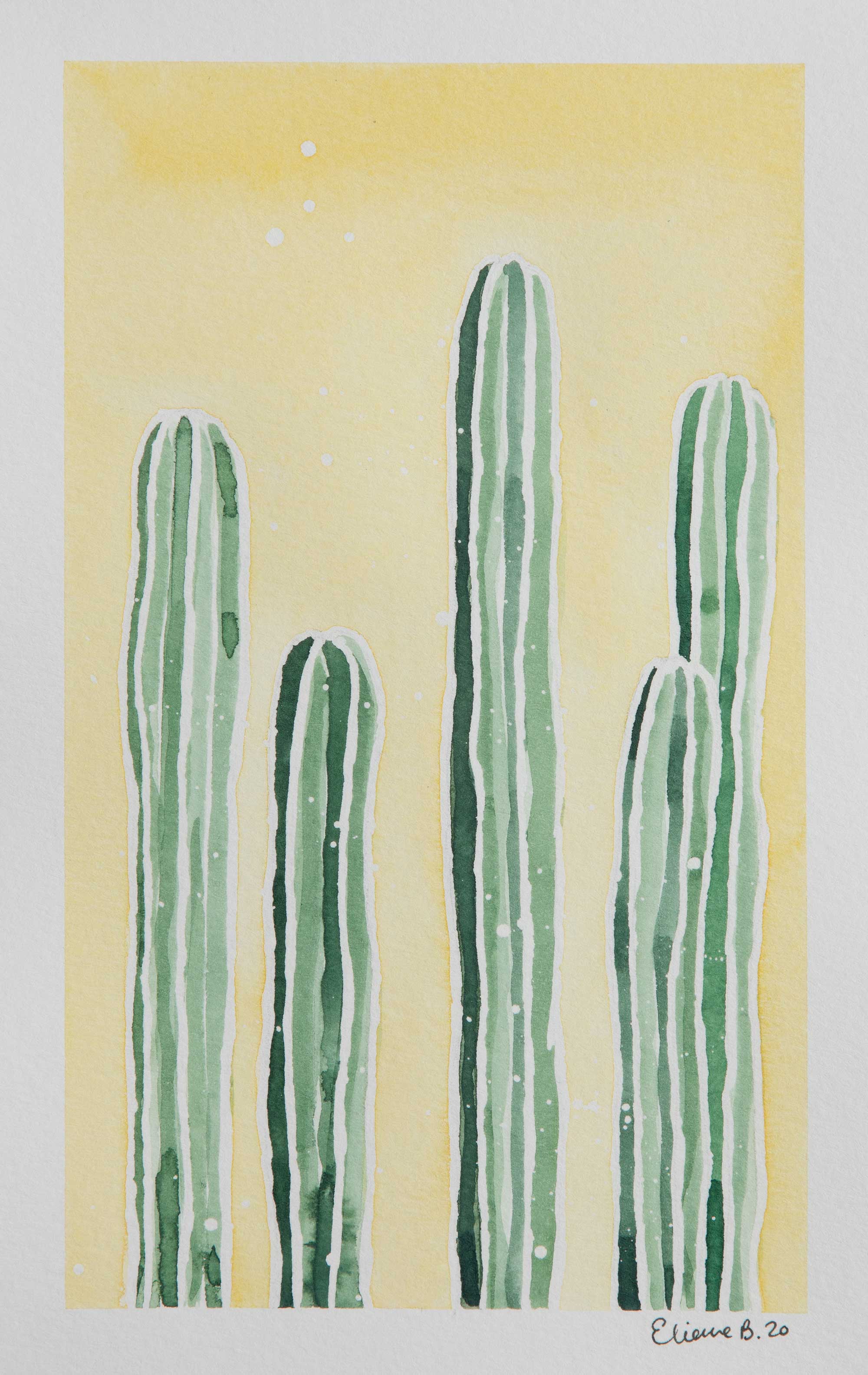 Cactus jaunes