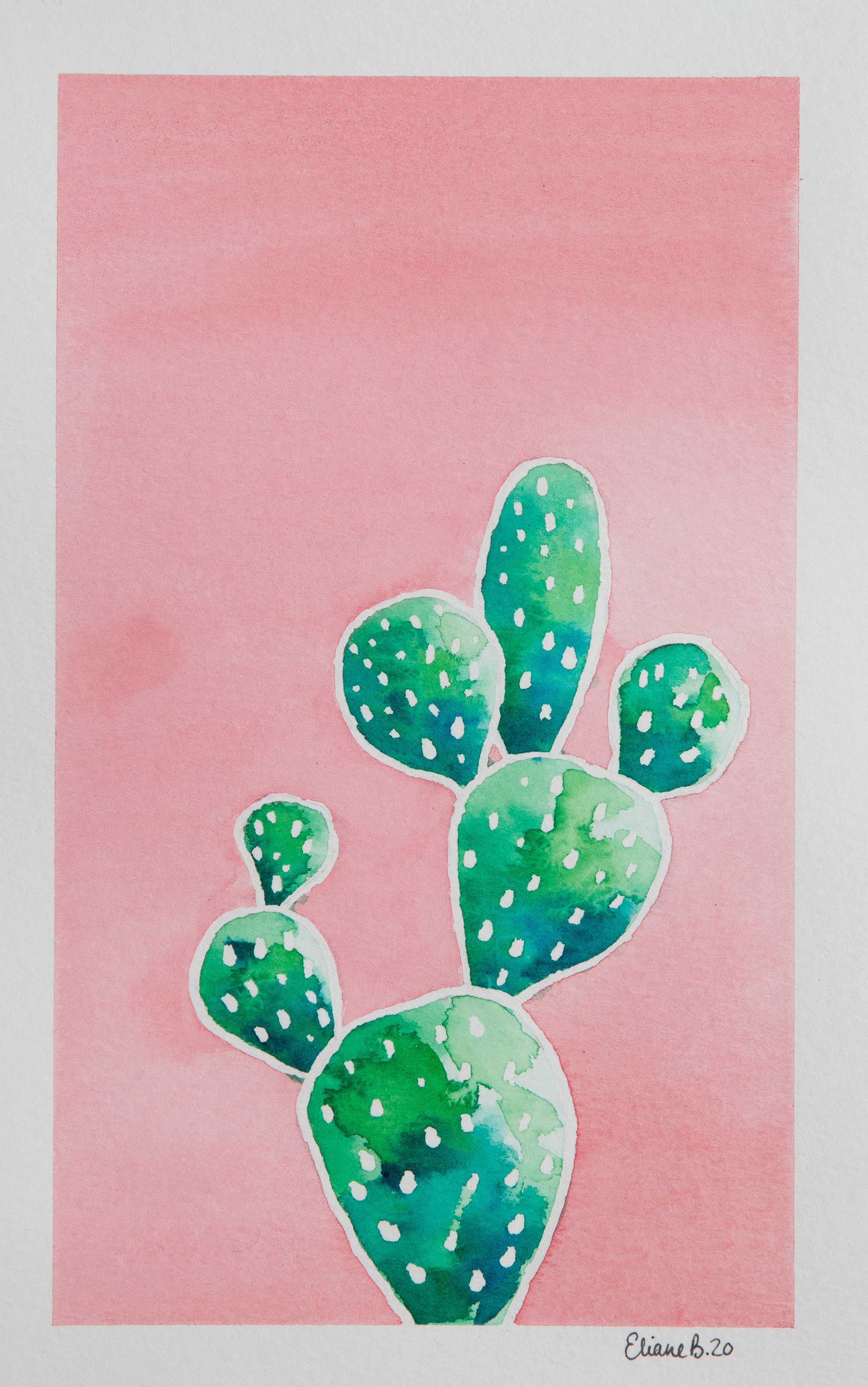 Petit cactus rose